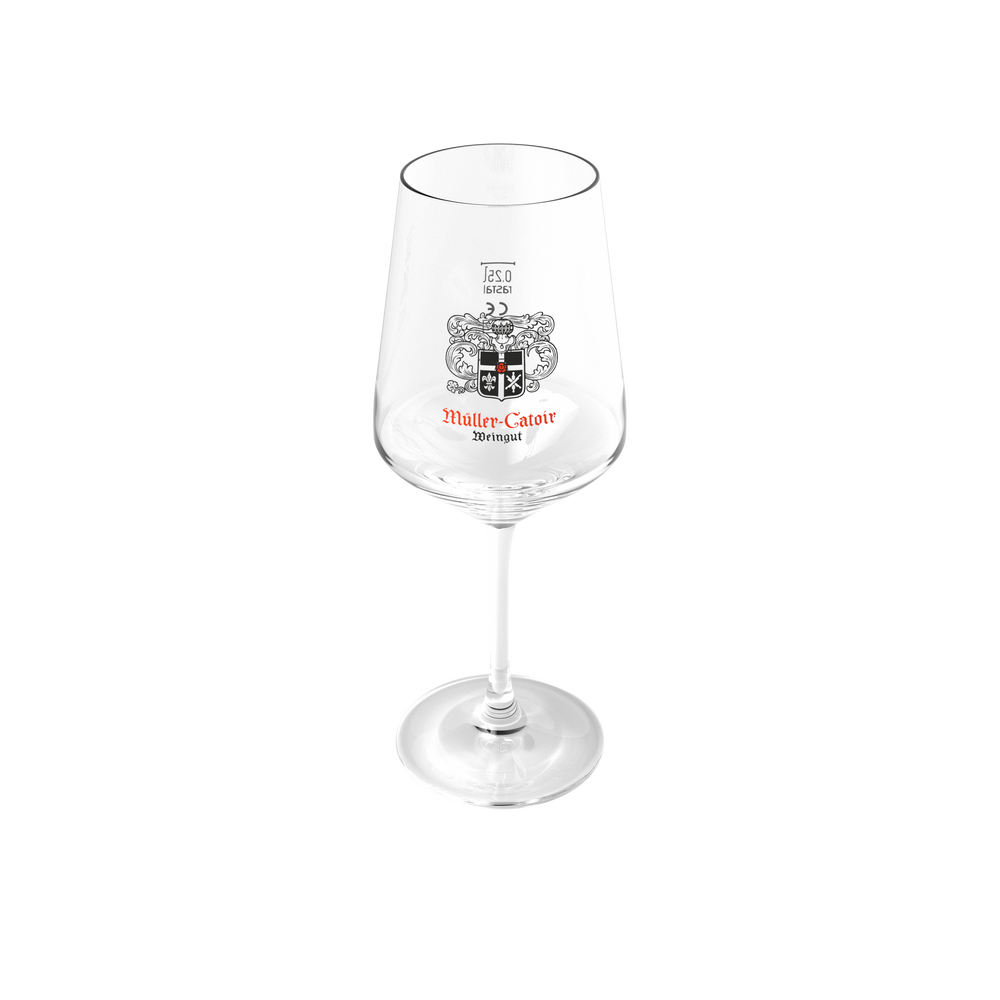 Wine glass